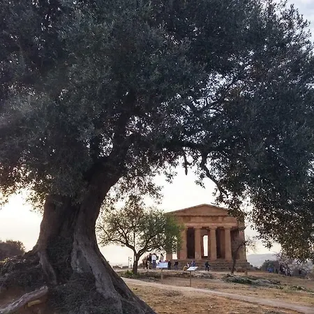 La Finestra Sul Teatro Bed and Breakfast Αγκριτζέντο